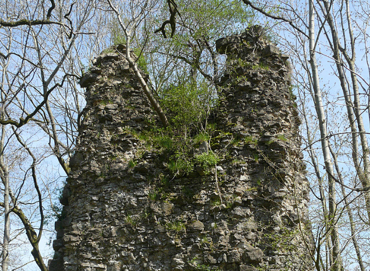 Burgruine Bebenburg, Germany